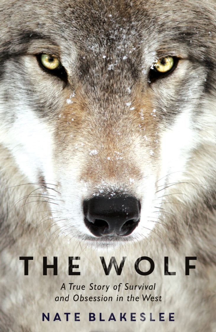 Aplicaciones The Wolf