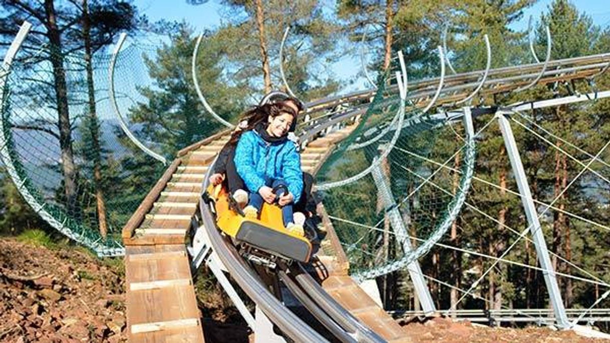 Fashion Alpine Coaster