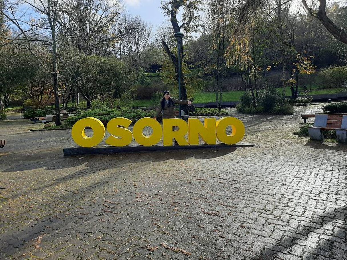 Restaurantes Osorno, Los Lagos