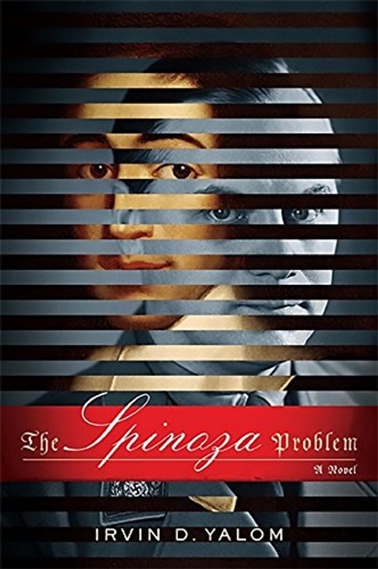 Libro The Spinoza Problem