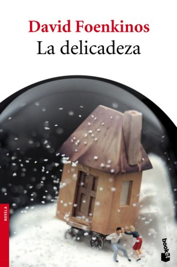 Libro La delicadeza