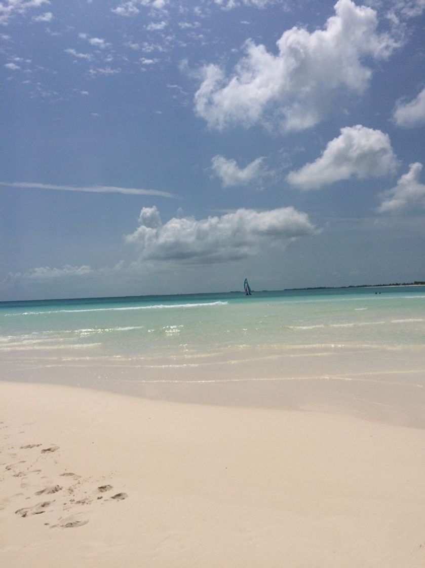 Lugar Playa Paraiso Beach, Cayo Largo, Cuba