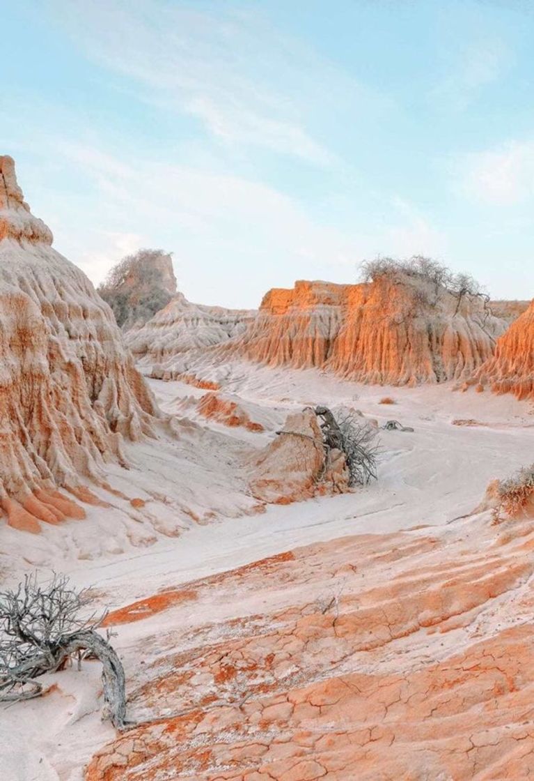 Moda Deserto🏜 