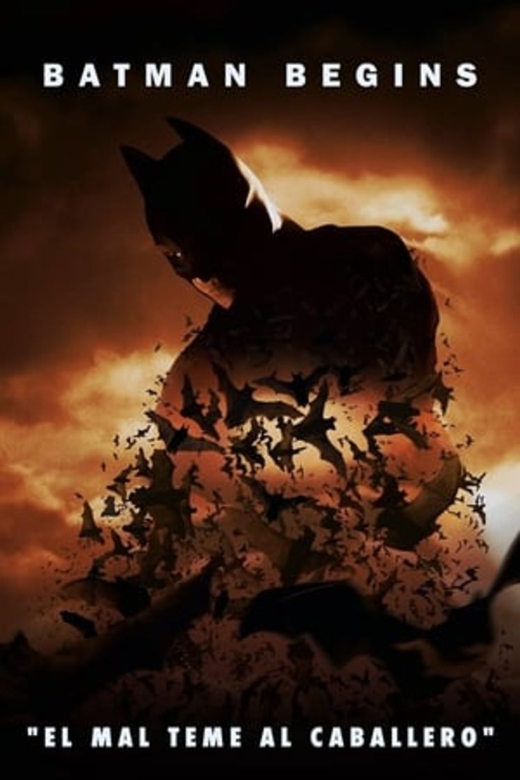 Película Batman Begins