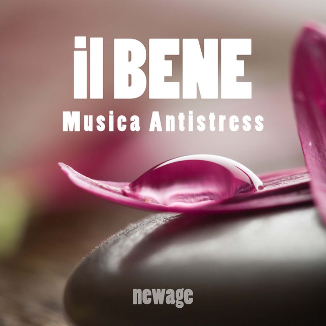 Music Visione Evangelica
