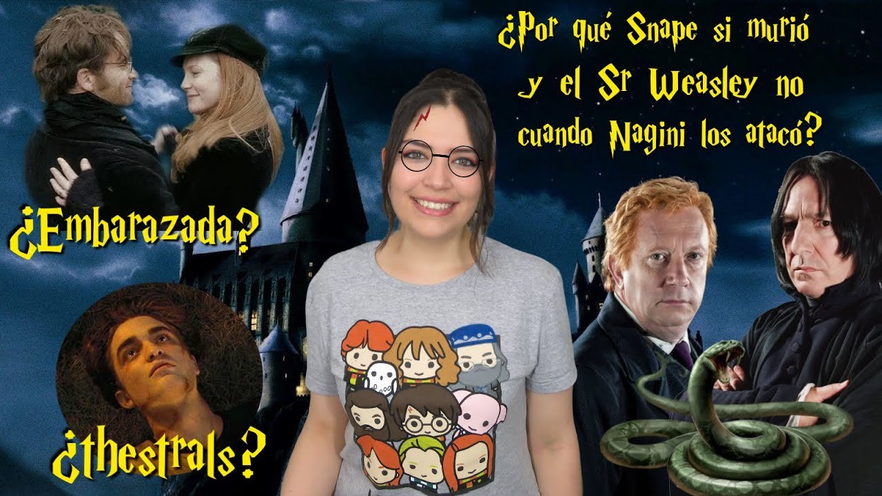 Moda Preguntas Harry Potter - Capa invisible 