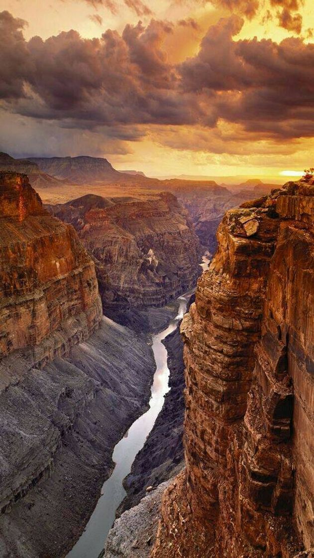 Fashion Grand canyon 