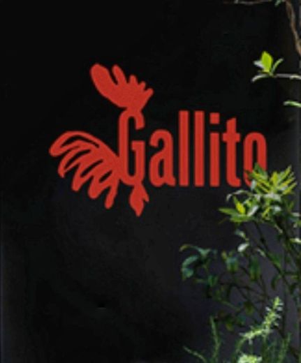 Gallito