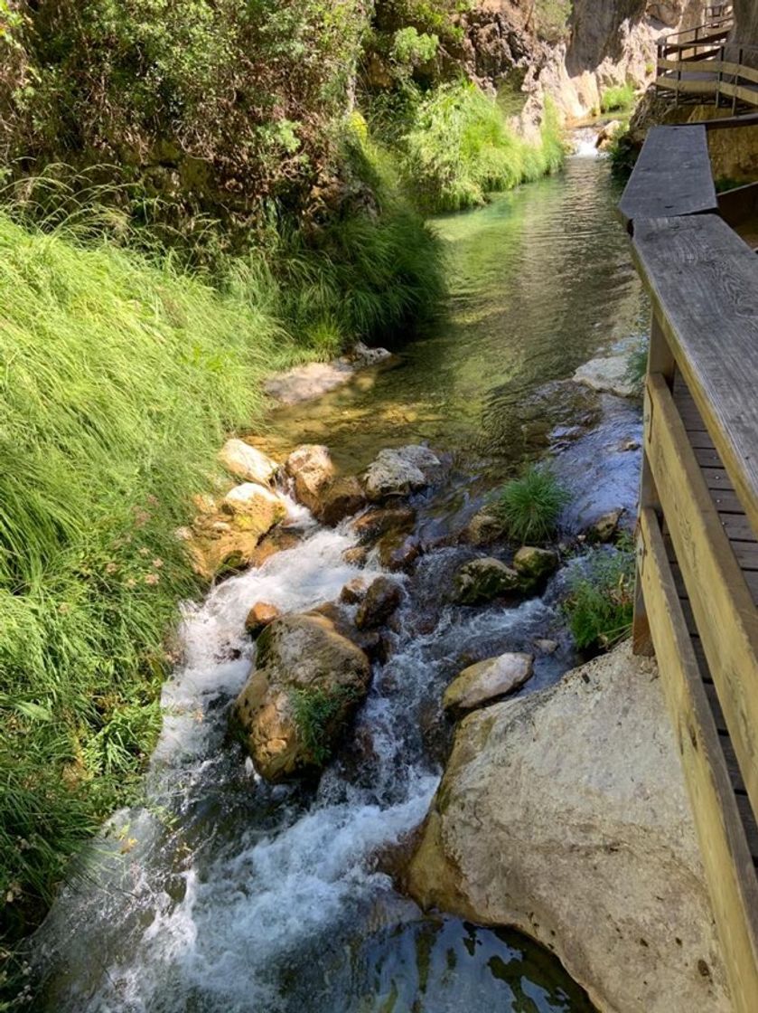 Place Parque Natural Sierras de Cazorla, Segura y las Villas
