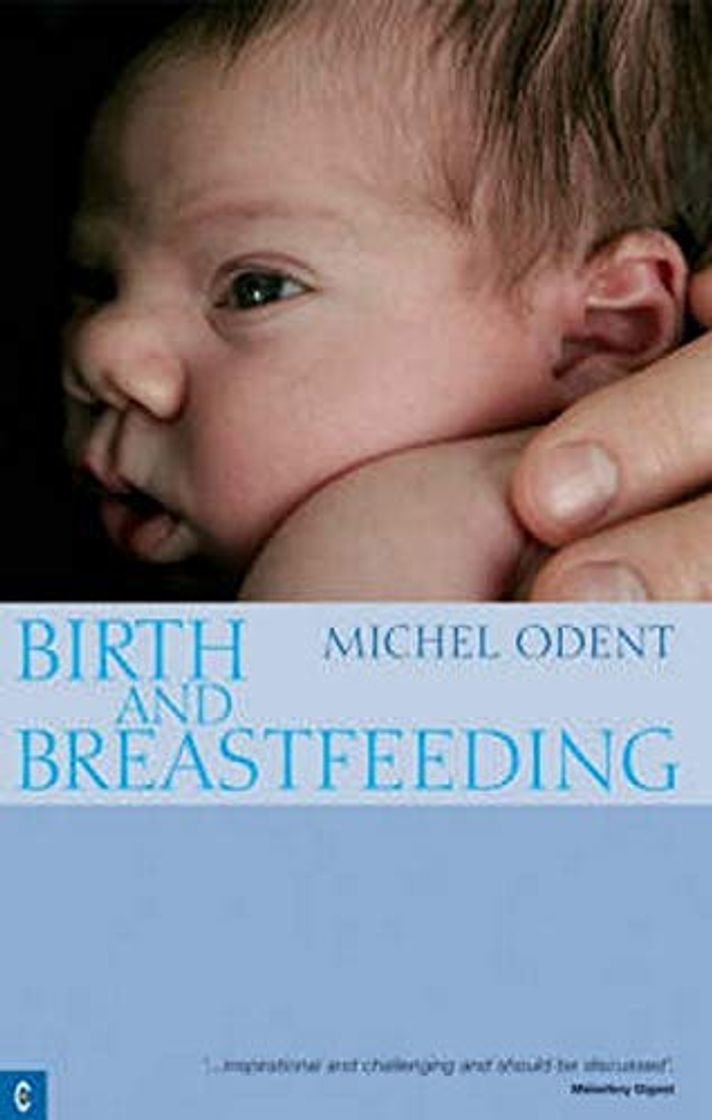 Book Birth and Breastfeeding: Rediscovering the Needs of Women During Pregnancy and Childbirth