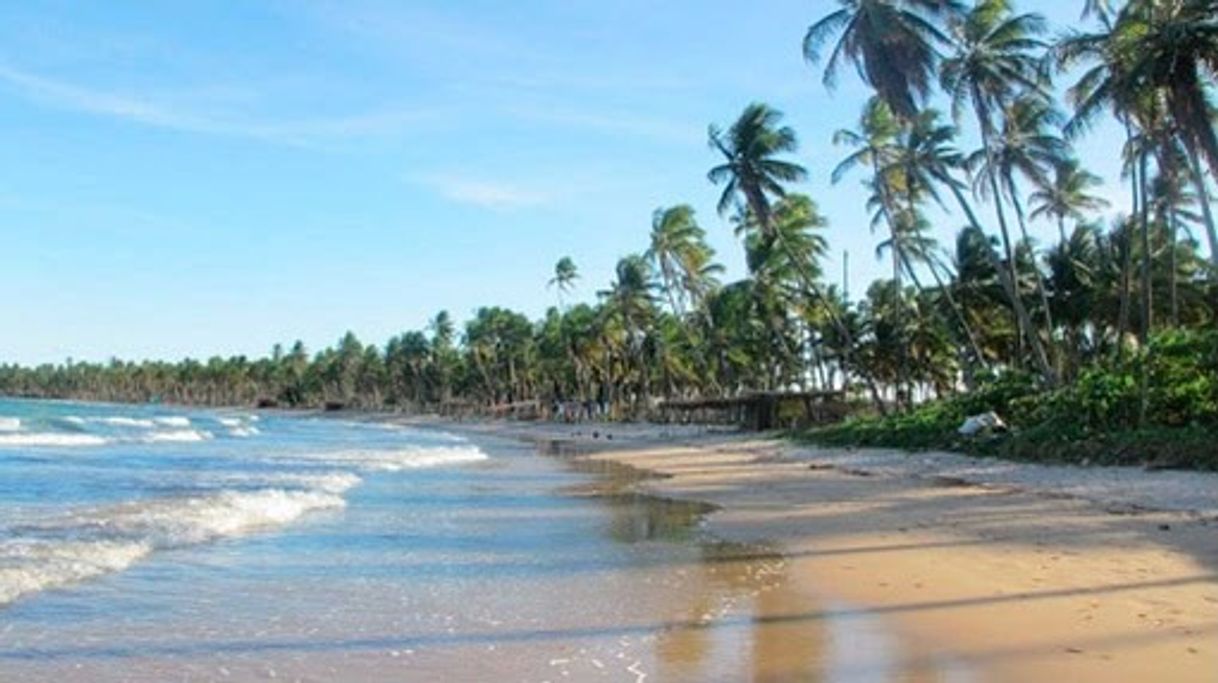 Moda Bahia