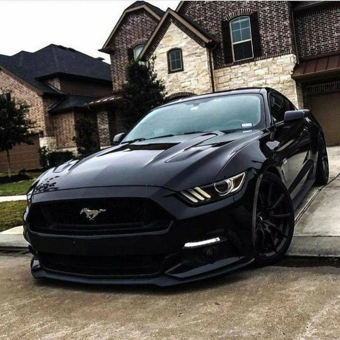 Moda Mustang 