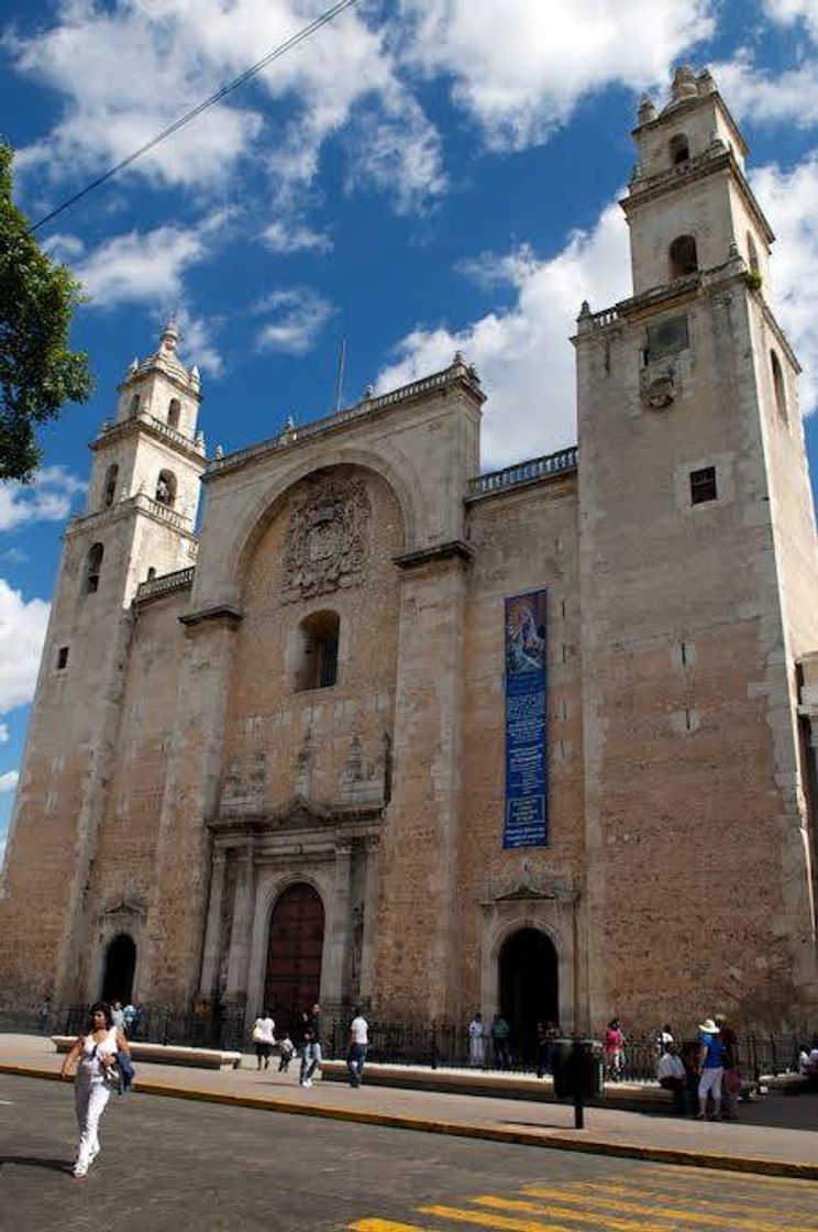 Place Catedral de San Ildefonso