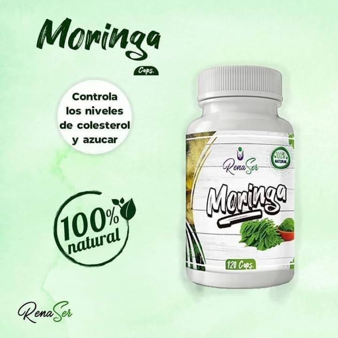 Moda MORINGA