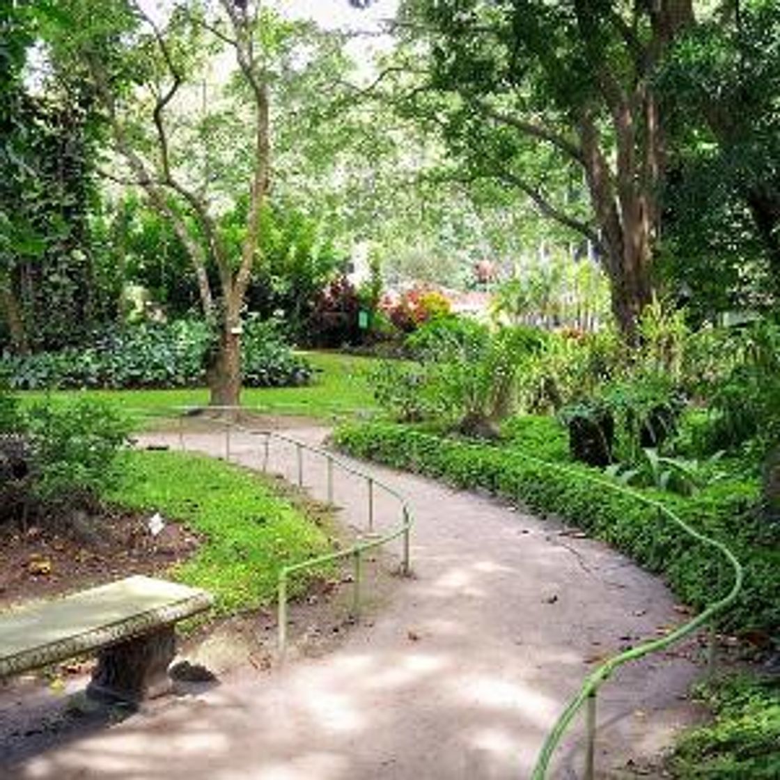 Lugar Jardín Botánico, Plan de La Laguna