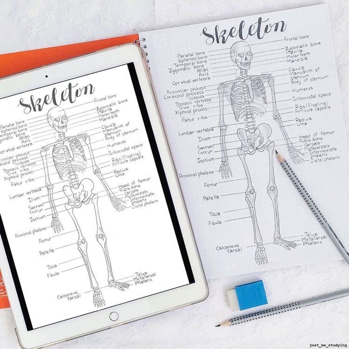 Social Nuevo Apple iPad