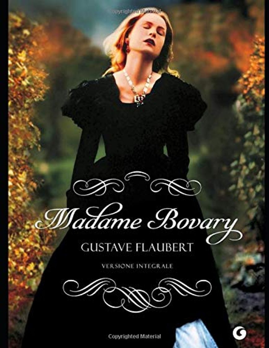 Book Madame Bovary