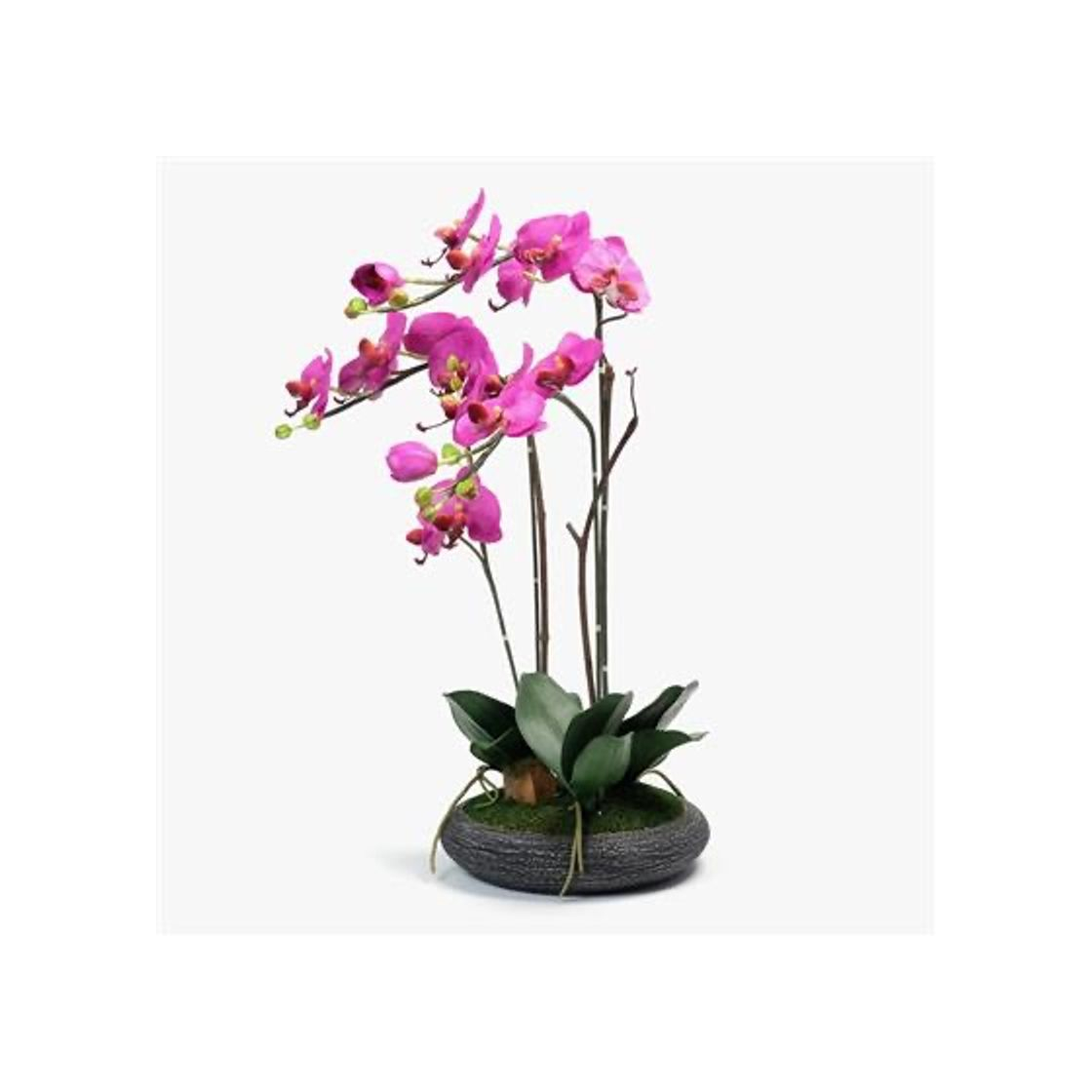 Product Orquídea Rosa 74cm 