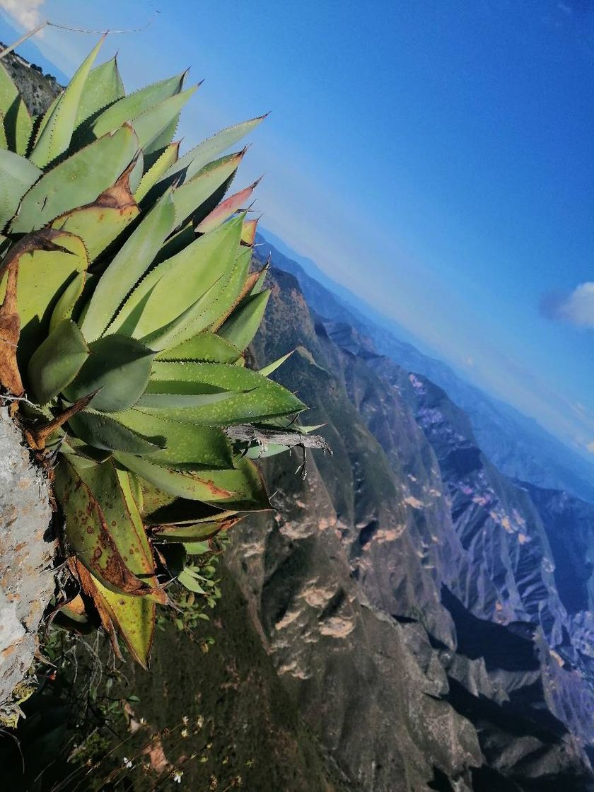 Lugar Mirador de Cuatro Palos