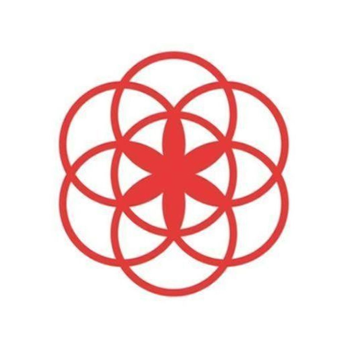 App Clue Period & Cycle Tracker