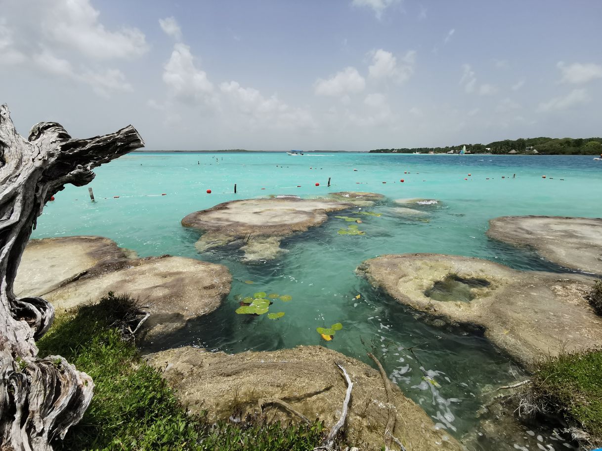 Lugar Laguna de Bacalar