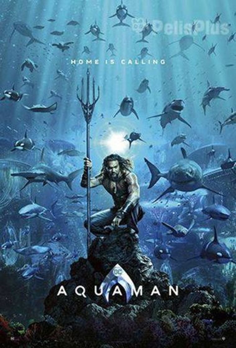 Social Ver Aquaman (2018) Online Latino HD - PELISPLUS