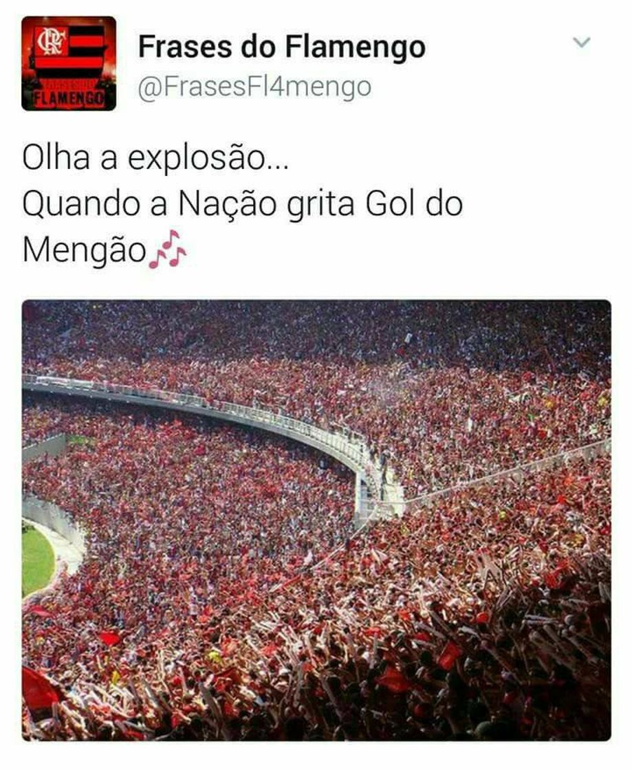 Moda Flamengo! 