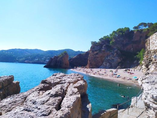 Playa Illa Roja