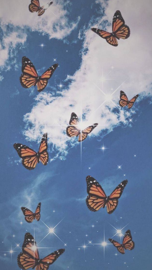 Moda Wallpaper aesthetic 🦋