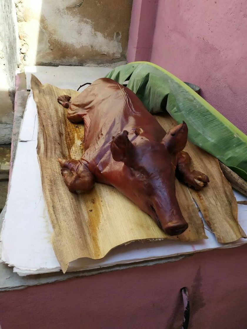 Moda Cerdo asado a la cubana