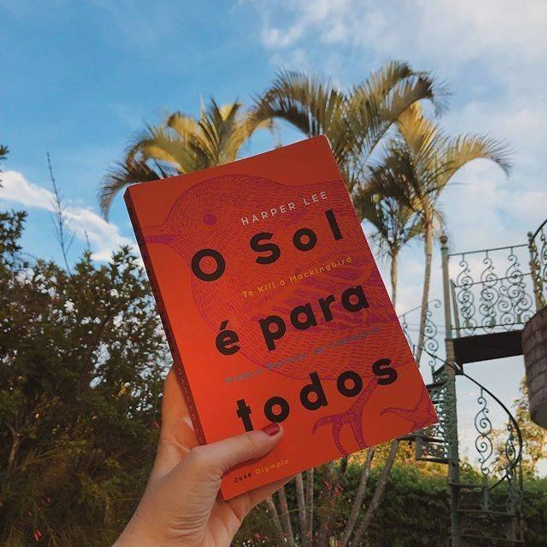 Book O sol é para todos☀