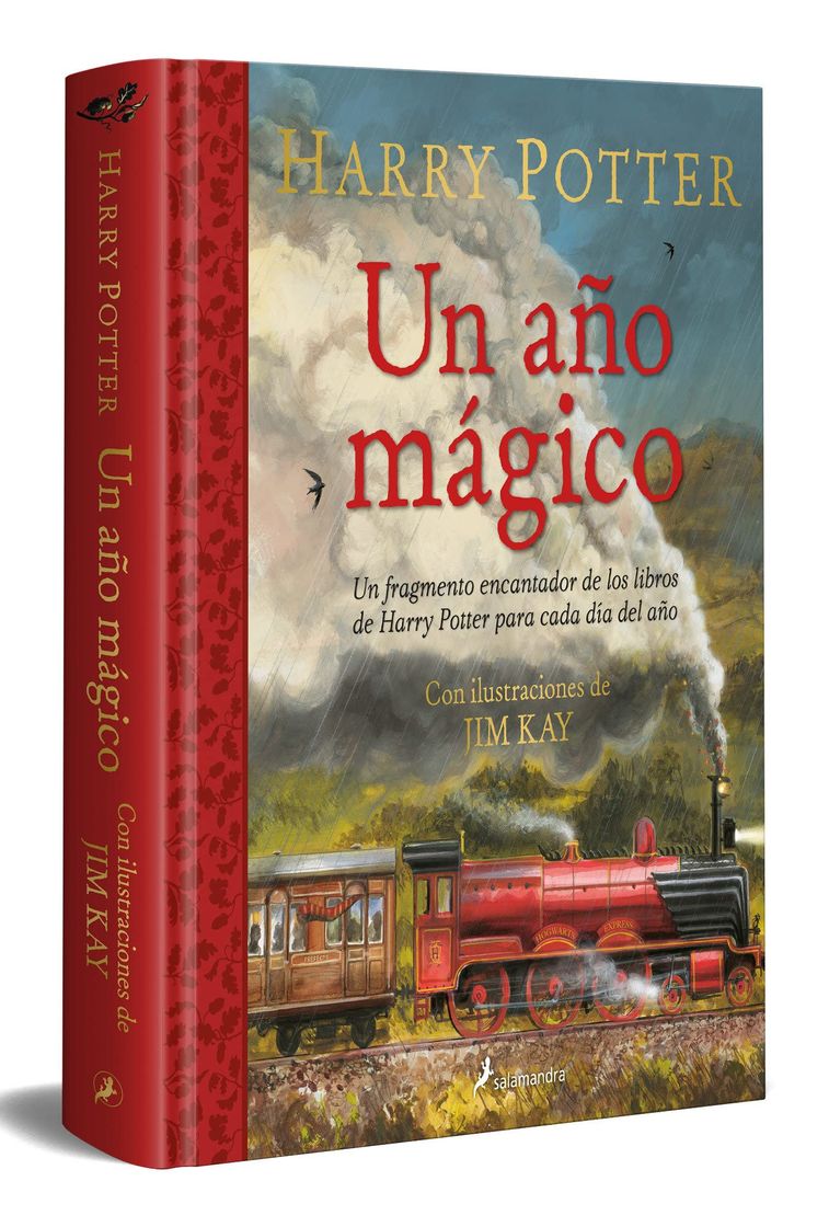 Libro Un año mágico. Harry Potter