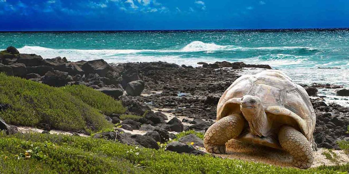 Lugar Parque Nacional Galapagos