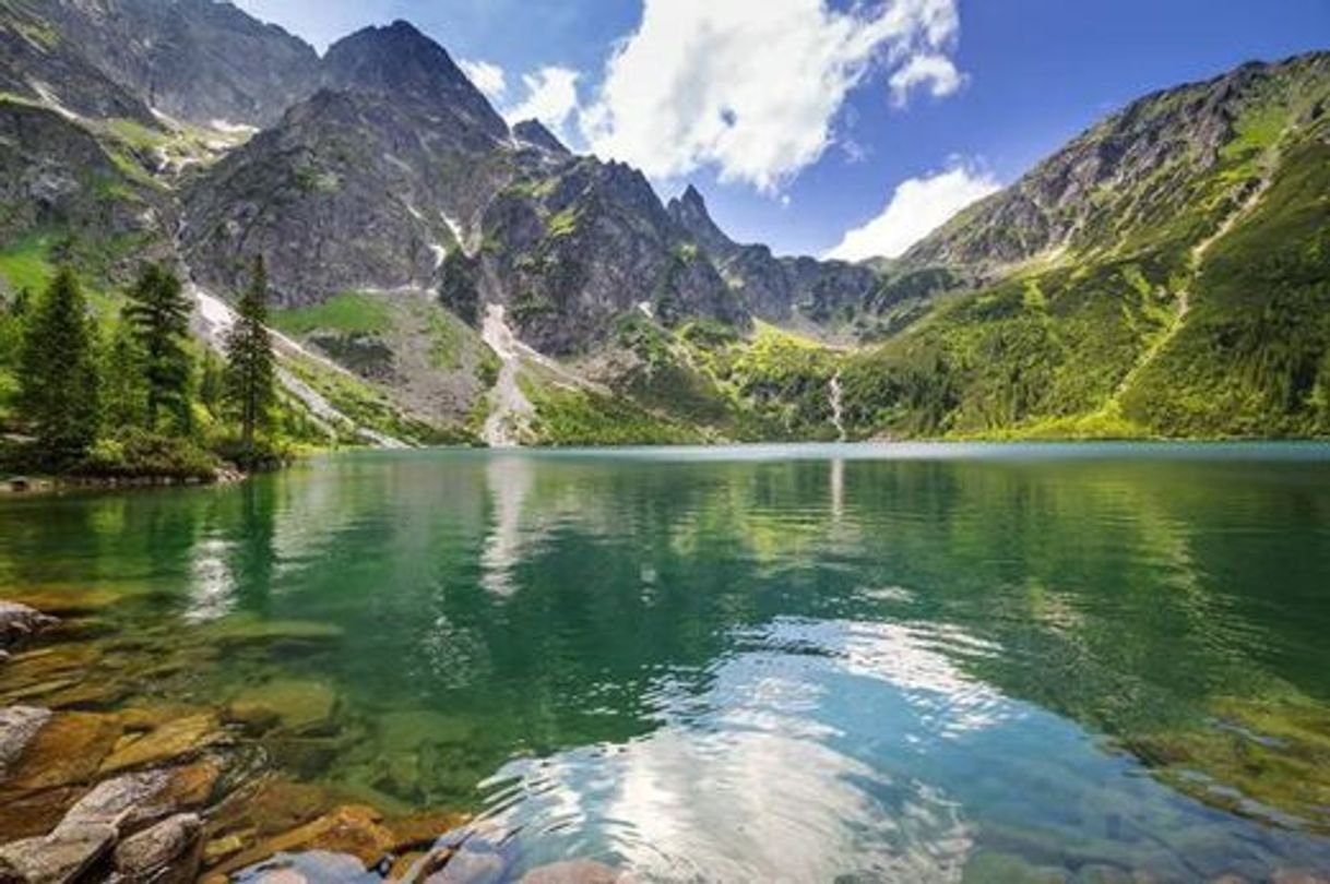 Paisagens 