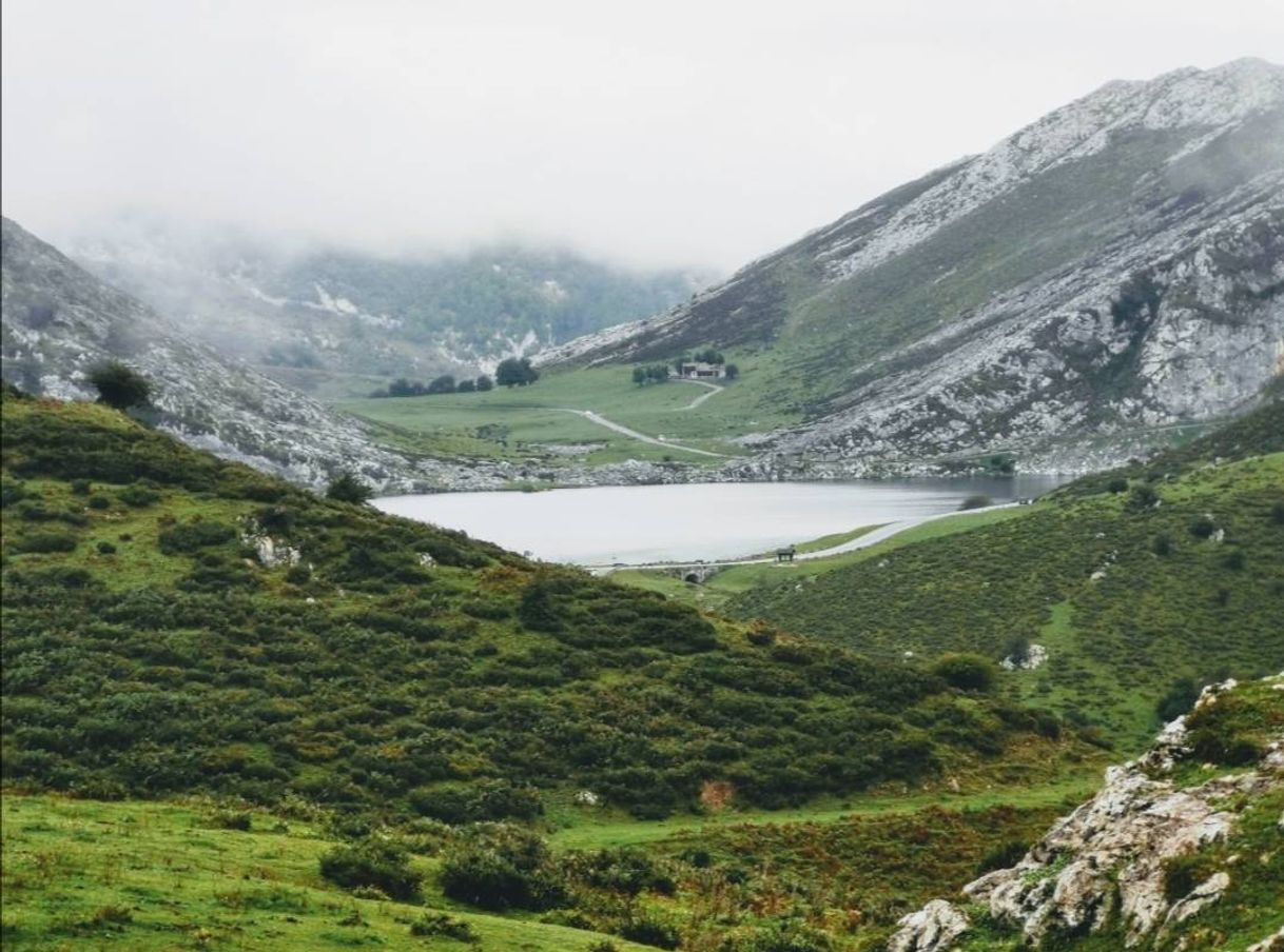 Lugar Lagos de Covadonga