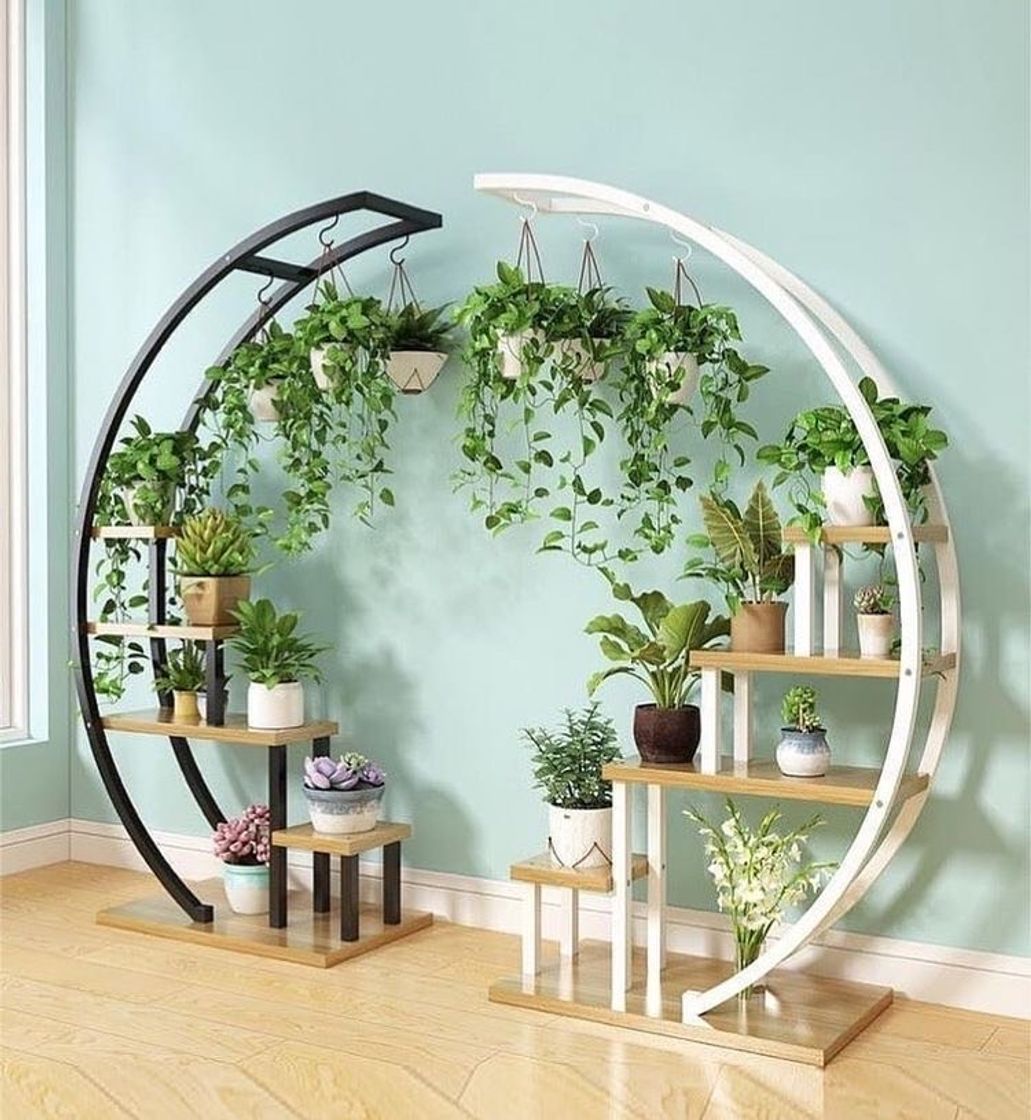 Fashion Idea de jardines verticales 🍃