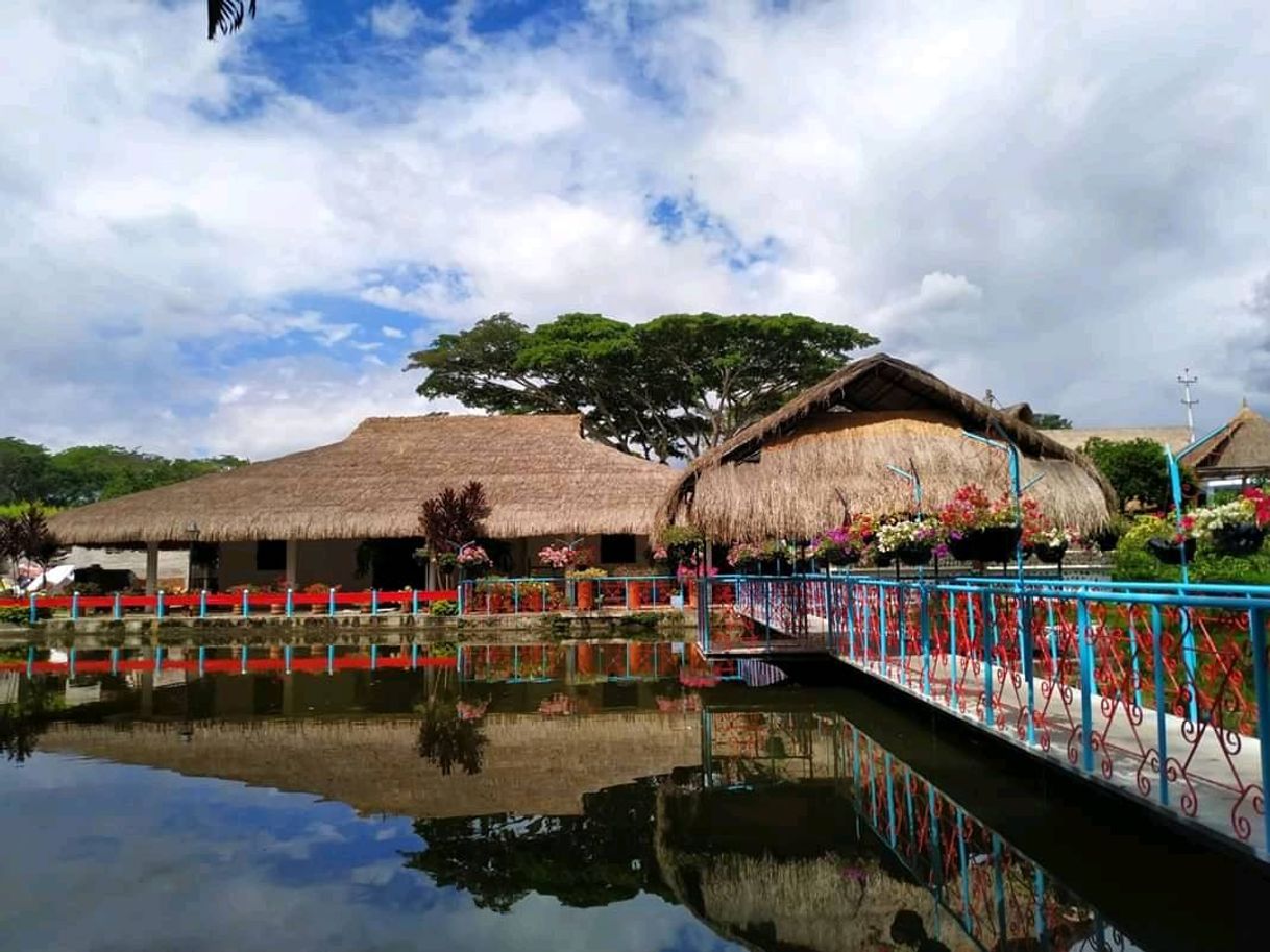 Restaurants San Joaquín