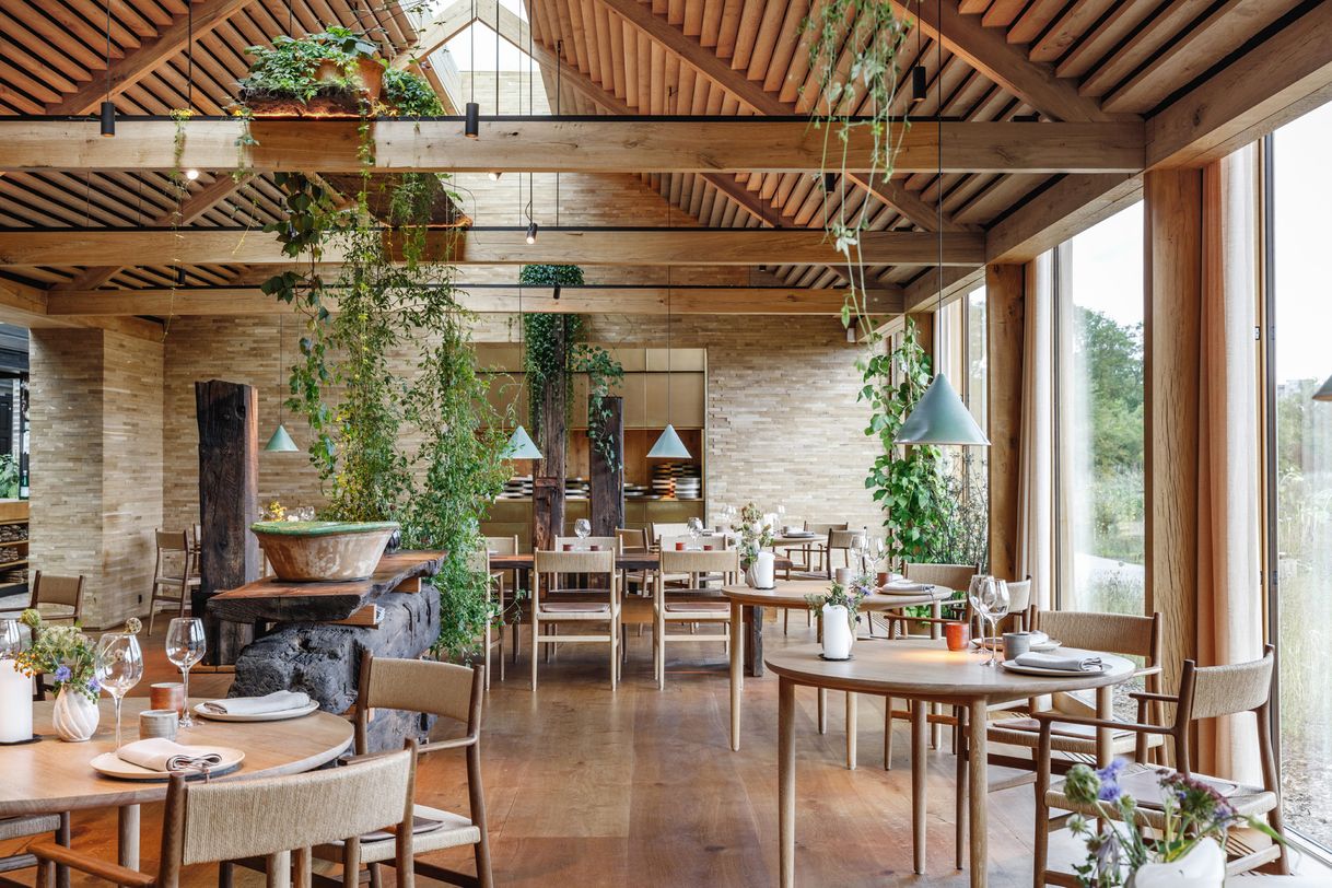Noma