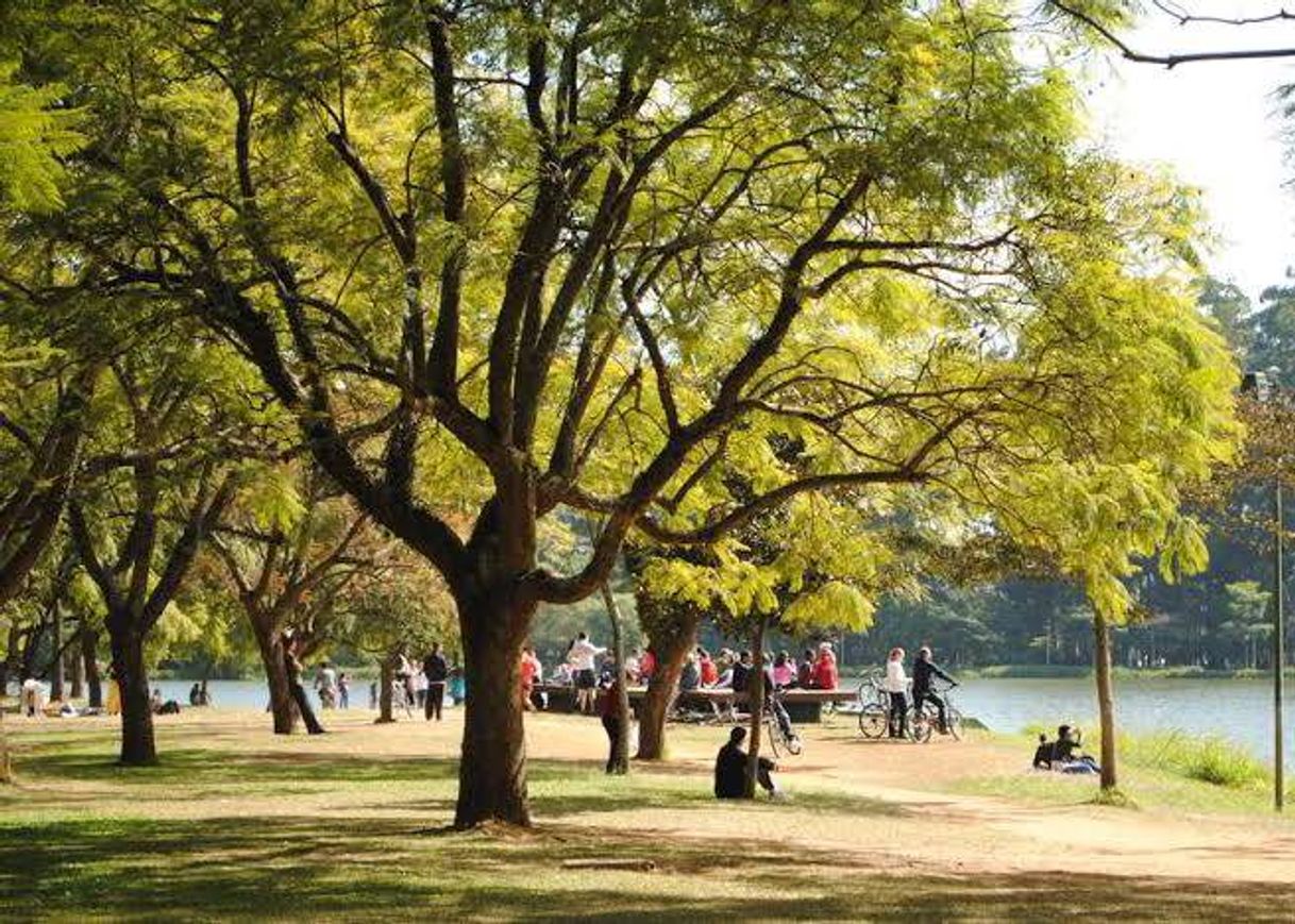 Place Parque Ibirapuera