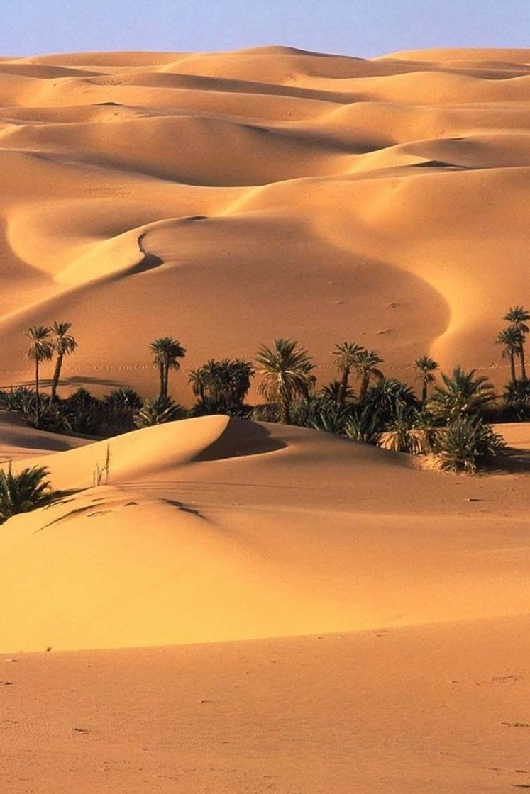 Lugar Sahara Desert