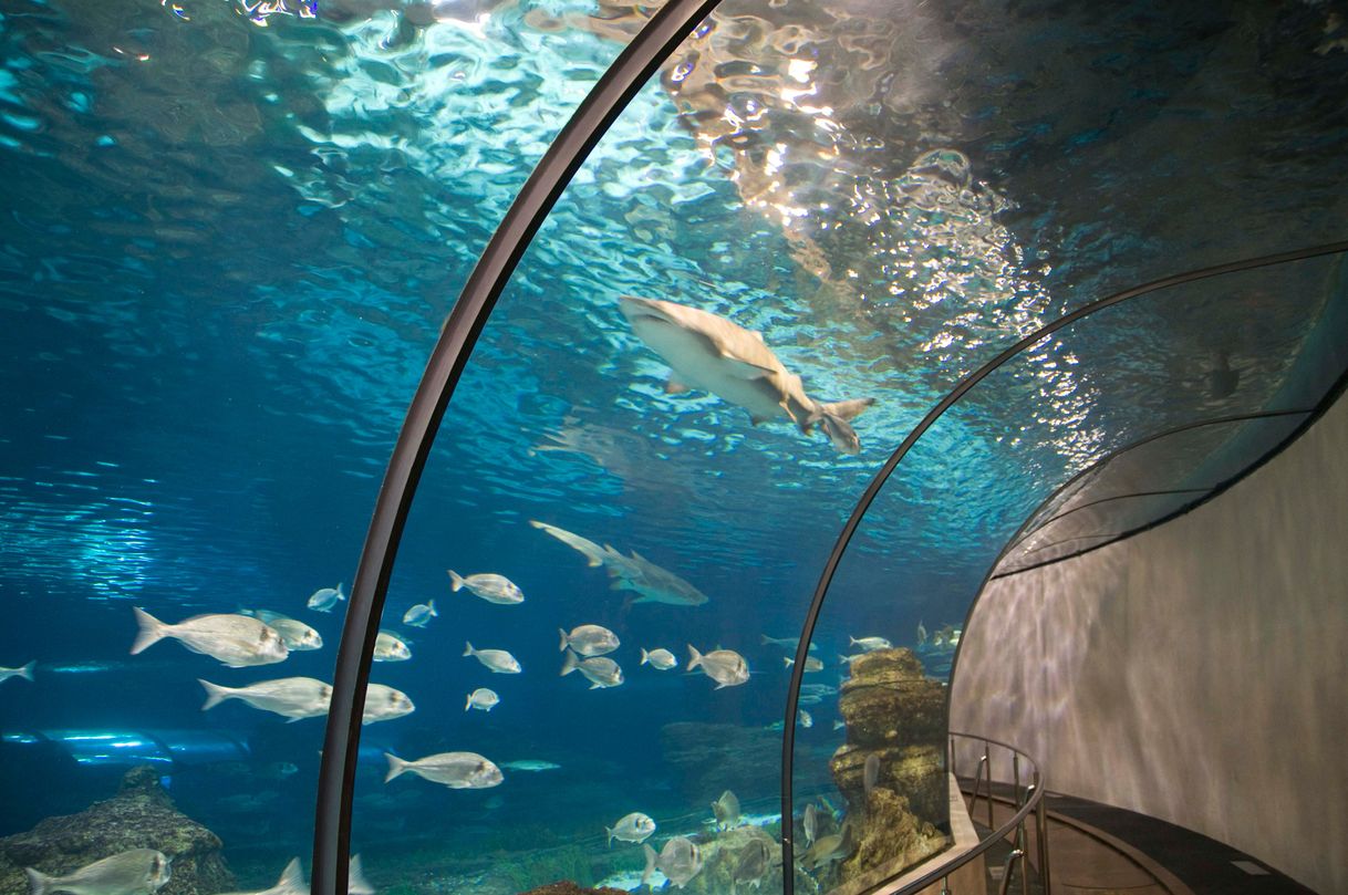 Place Aquarium de Barcelona