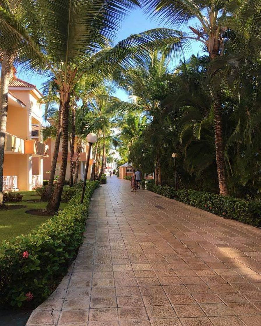 Lugar Grand Bahia Principe Bavaro