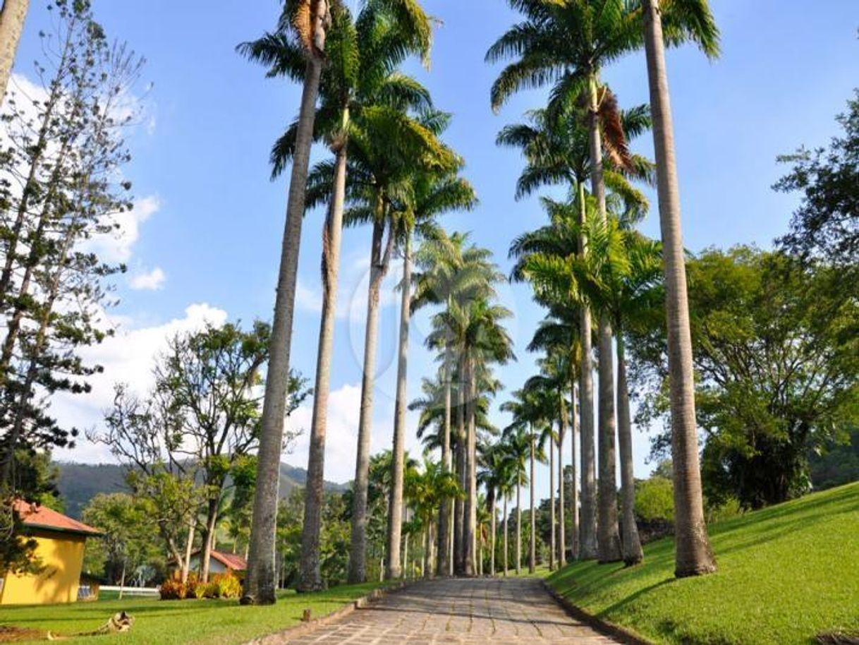 Place Itaipava