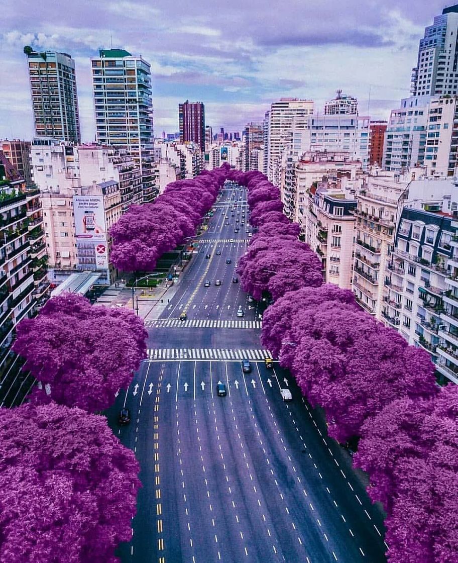 Buenos Aires