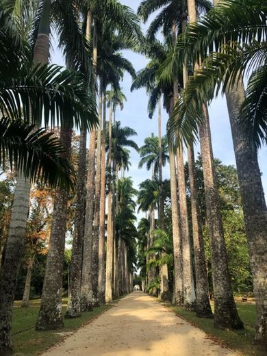 Jardim Botânico do Rio de Janeiro