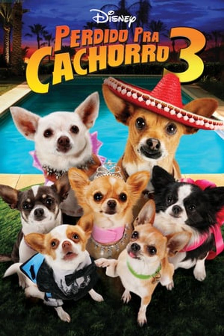 Movie Un chihuahua en Beverly Hills 3: ¡Que viva la fiesta!