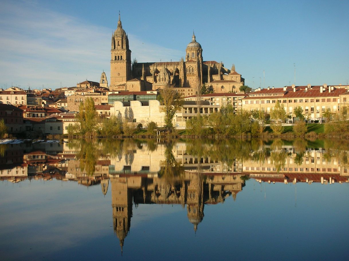 Place Salamanca