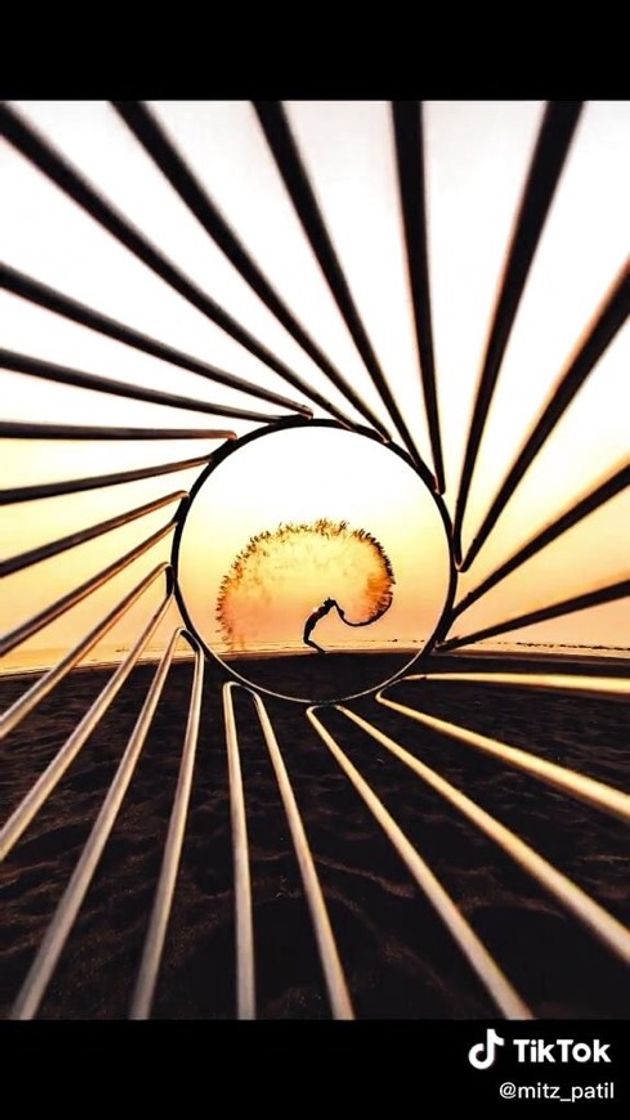 Social Pics/Photography ideas