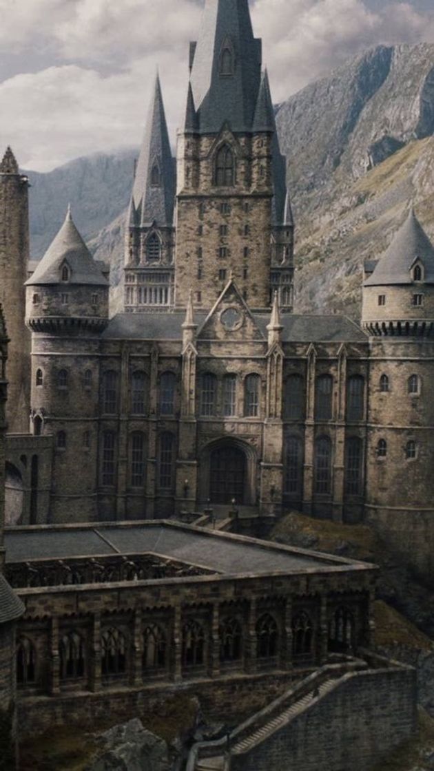 Harry Potter