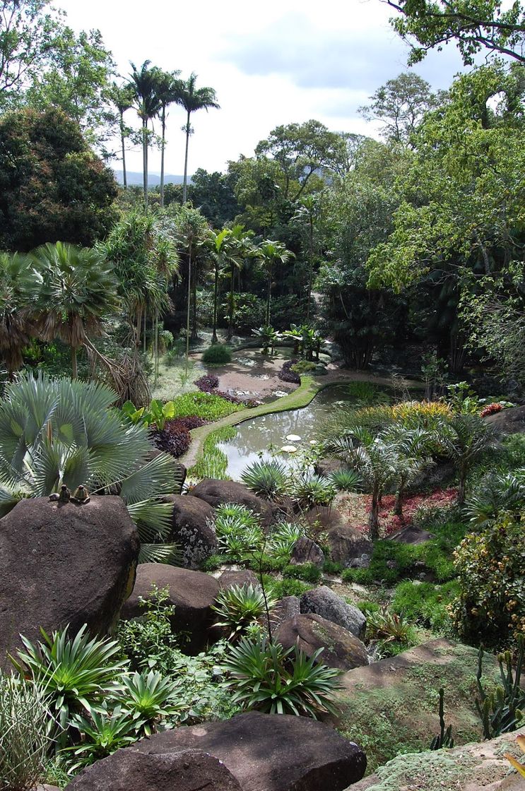 Lugar Sítio Burle Marx - IPHAN